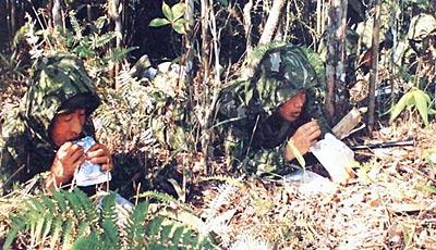 国产野战精品,铸就军魂，捍卫和平的利器之光