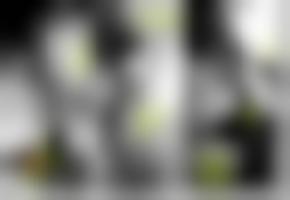 国产亚洲综合欧美视频